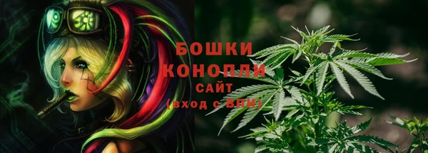 эйфоретик Володарск