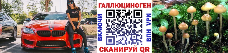 Псилоцибиновые грибы прущие грибы  Купить  Стародуб 