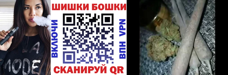 Купить  Стародуб  Бошки Шишки план 